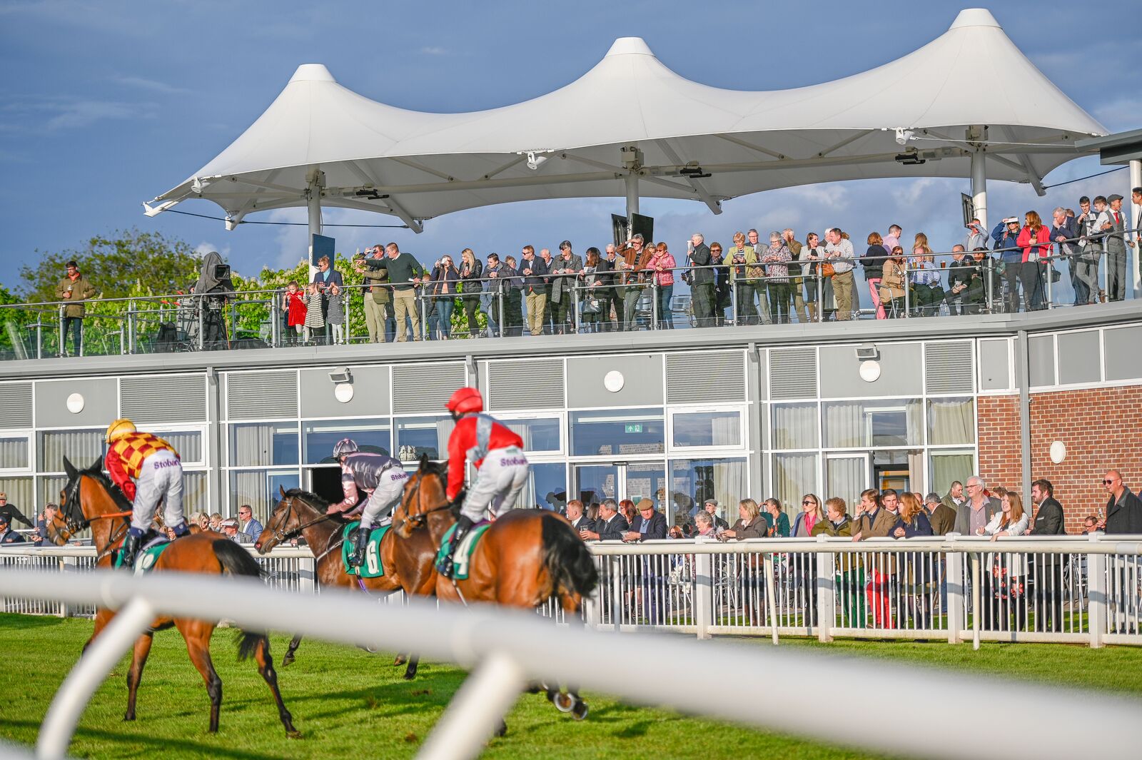 Horse Racing In Yorkshire 2024 - Daune Laverne