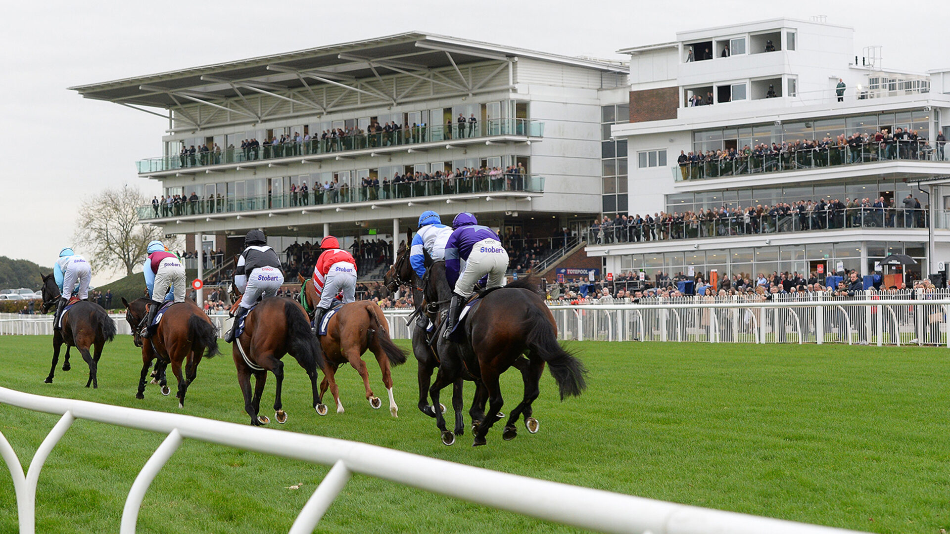 horse racing stable tours yorkshire