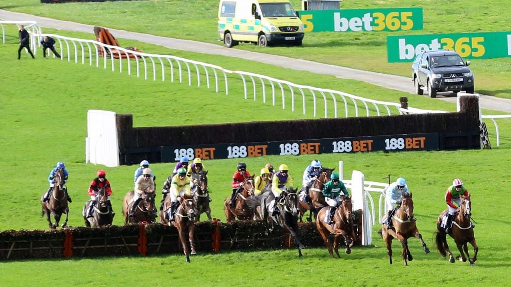 Gallery | Go Racing | Yorkshire Horse Racing