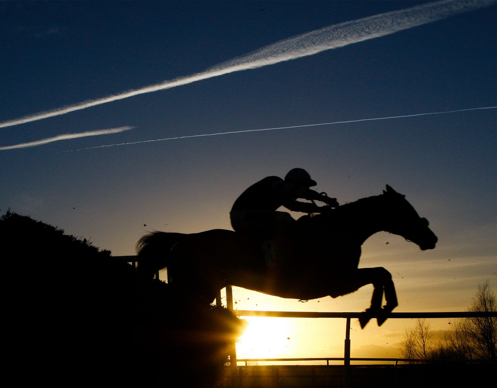 Jump Racing | Go Racing | Yorkshire Horse Racing