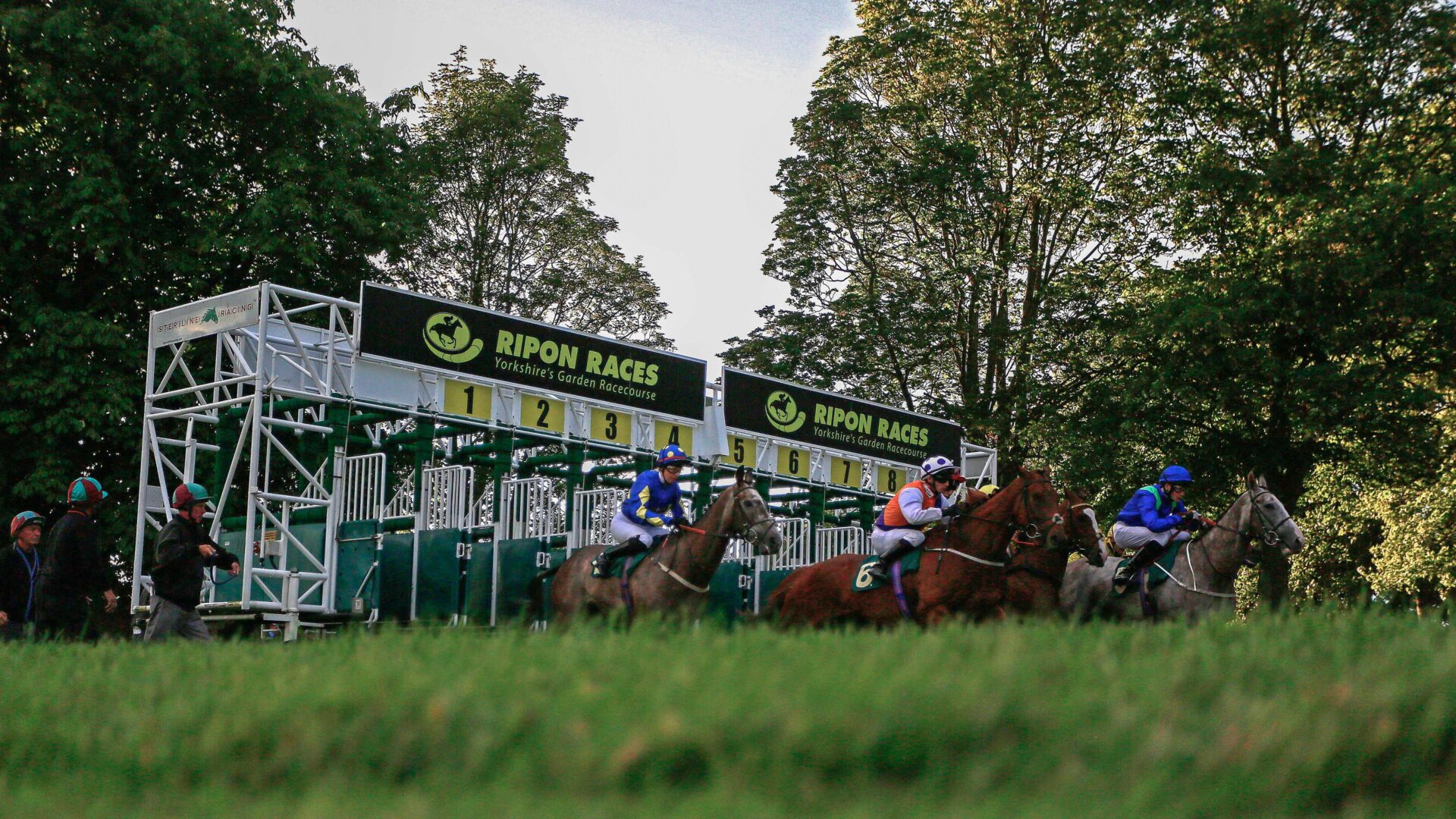 The Home of Yorkshire Racing Go Racing Yorkshire Horse Racing