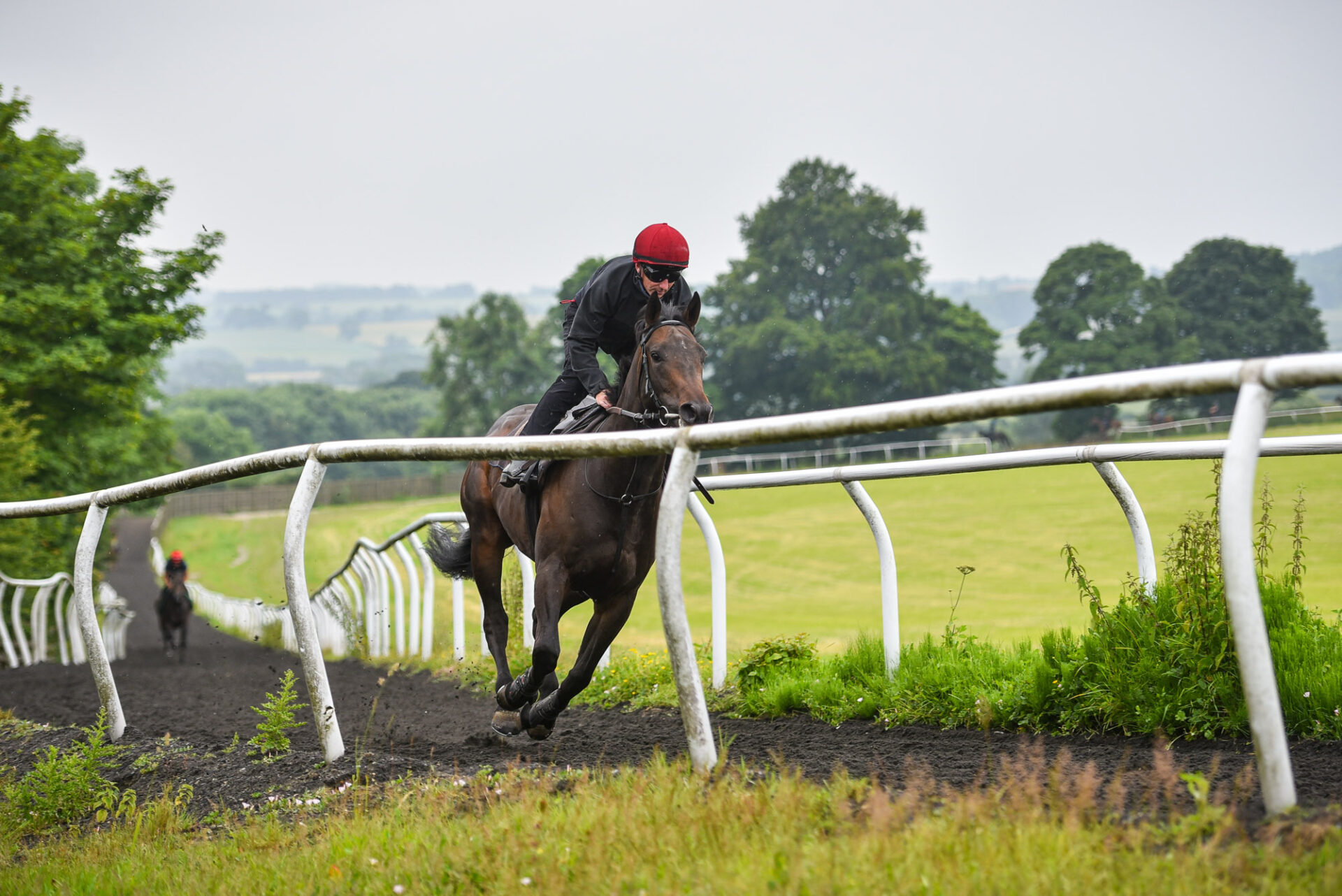 News Go Racing Yorkshire Horse Racing