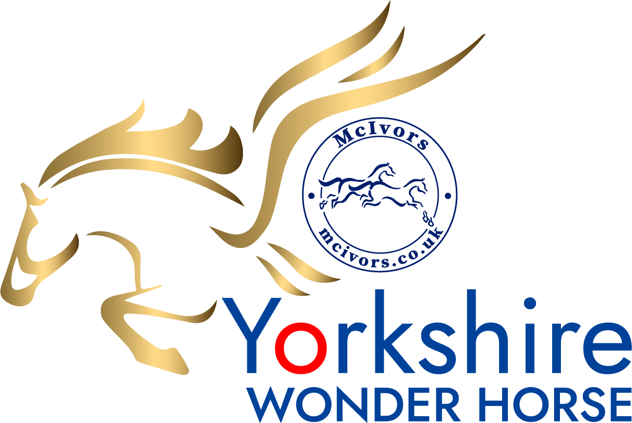 The Home of Yorkshire Racing Go Racing Yorkshire Horse Racing