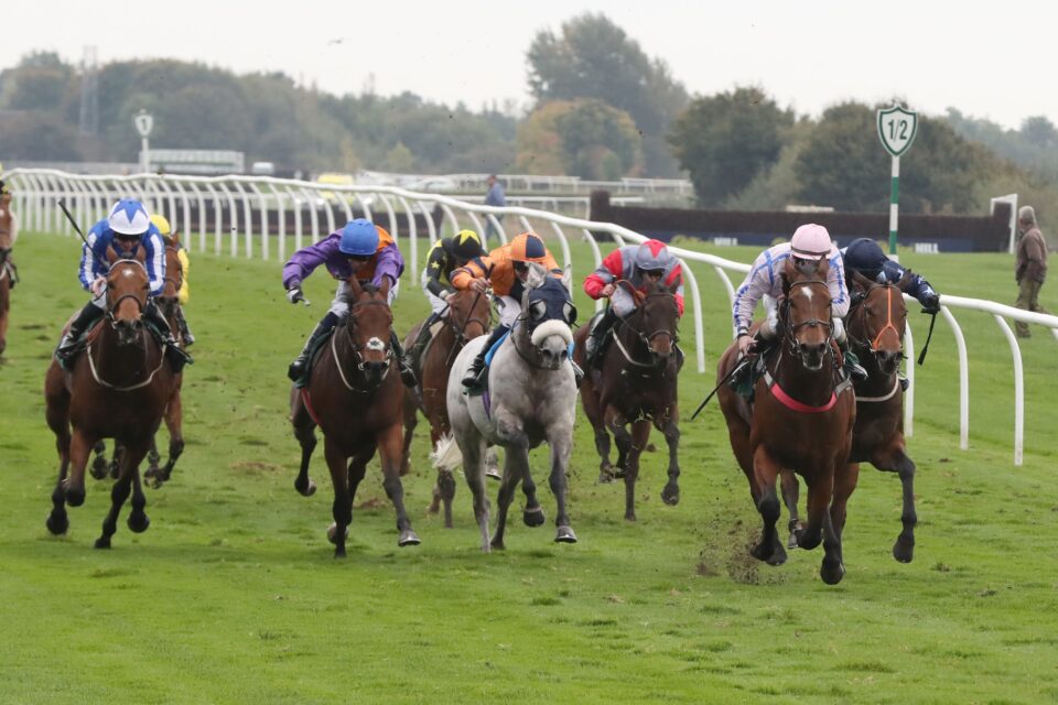 THE WILLIAM HILL CATTERICK DASH HEADS VALUABLE SATURDAY CARD AT ...